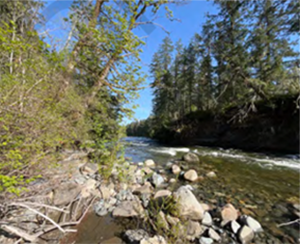 Browns River